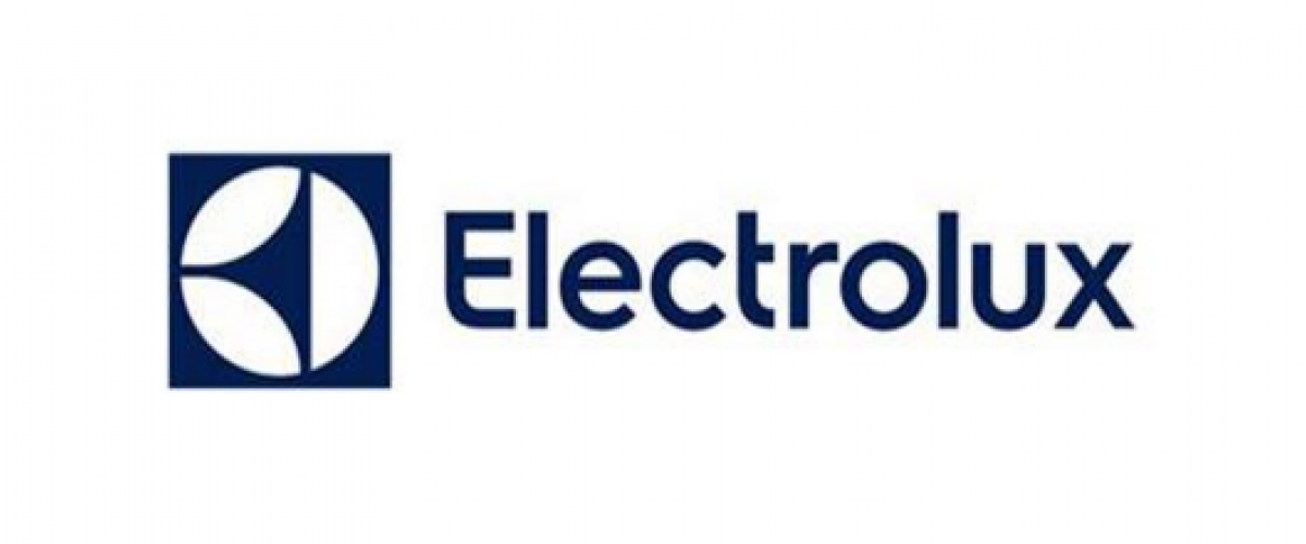 Electrolux Compra Anova Para Explorar O Crescimento Dos Produtos Conectados